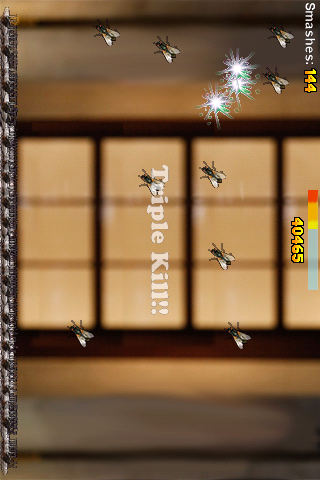 Screenshot Fly Hunter Screenshot Fly Hunter